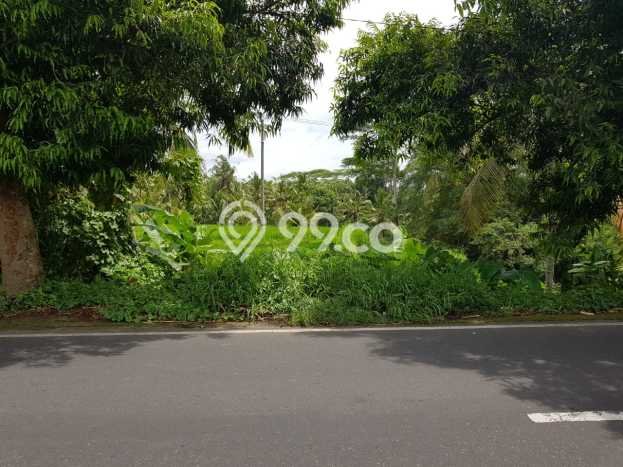 Tanah Dijual di Gianyar Seluas 15100m2 Strategis Tanah Dijual di Gianyar Seluas 15100m2 Strategis