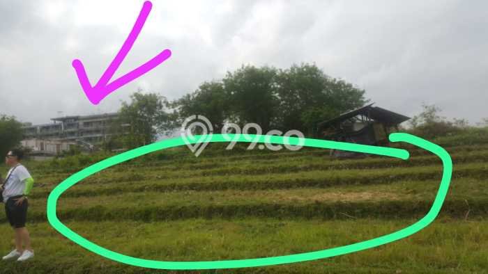Kavling Tanah untuk Dijual di Umalas, Badung, Luas 1461m2 Kavling Tanah untuk Dijual di Umalas, Badung, Luas 1461m2