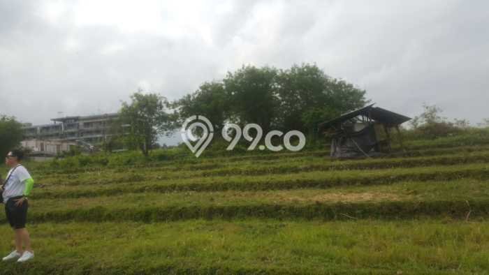 Kavling Tanah untuk Dijual di Umalas, Badung, Luas 1461m2 Kavling Tanah untuk Dijual di Umalas, Badung, Luas 1461m2