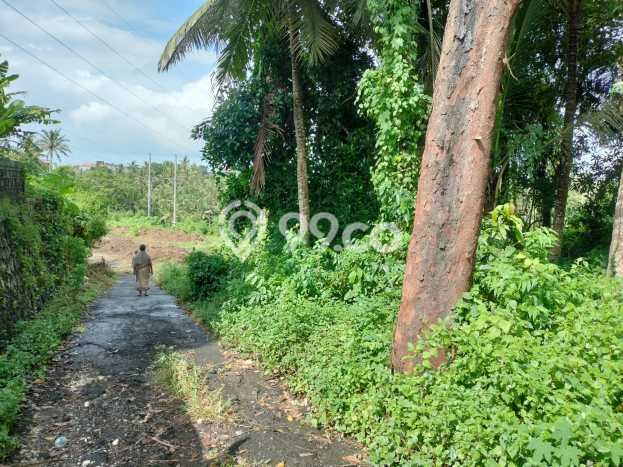 Lahan Dijual Lokasi Strategis di Gianyar dengan Luas 2000m2 Lahan Dijual Lokasi Strategis di Gianyar dengan Luas 2000m2