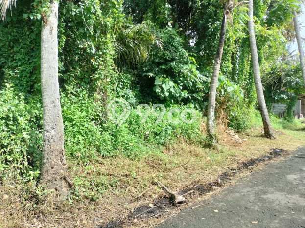 Lahan Dijual Lokasi Strategis di Gianyar dengan Luas 2000m2 Lahan Dijual Lokasi Strategis di Gianyar dengan Luas 2000m2