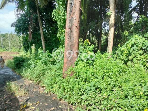 Lahan Dijual Lokasi Strategis di Gianyar dengan Luas 2000m2 Lahan Dijual Lokasi Strategis di Gianyar dengan Luas 2000m2