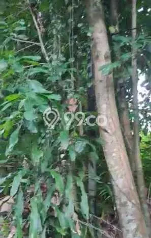 Lahan Dijual Lokasi Strategis di Gianyar dengan Luas 1400m2 Lahan Dijual Lokasi Strategis di Gianyar dengan Luas 1400m2