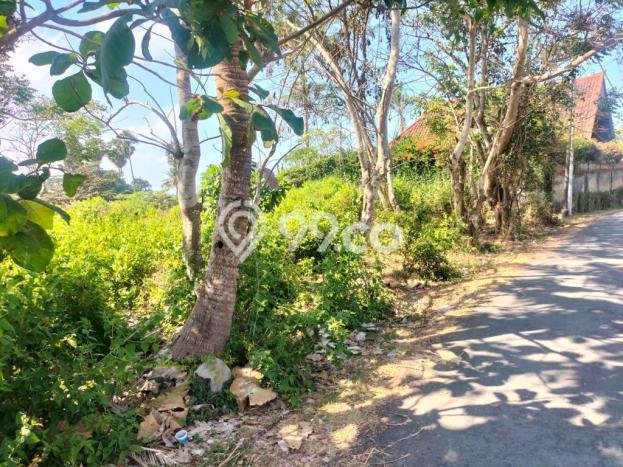 Tanah Kavling di Blahbatuh Dijual dengan Luas 1400m2 Tanah Kavling di Blahbatuh Dijual dengan Luas 1400m2