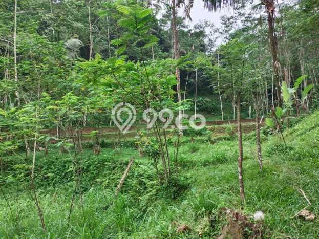 Tanah Siap Bangun Dijual di Gianyar Punya Luas 52000m2 Tanah Siap Bangun Dijual di Gianyar Punya Luas 52000m2