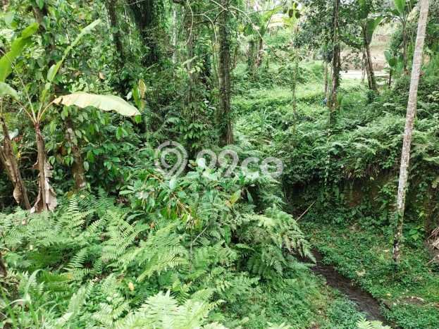 Tanah Siap Bangun Dijual di Gianyar Punya Luas 52000m2 Tanah Siap Bangun Dijual di Gianyar Punya Luas 52000m2
