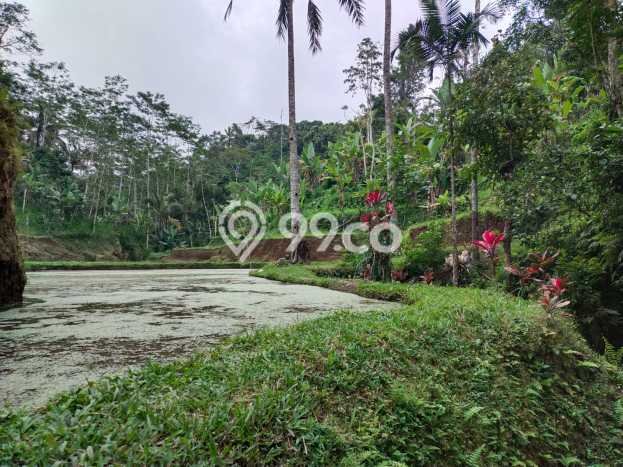 Tanah Siap Bangun Dijual di Gianyar Punya Luas 52000m2 Tanah Siap Bangun Dijual di Gianyar Punya Luas 52000m2