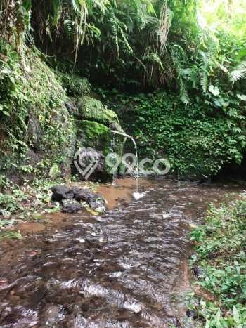 Tanah Siap Bangun Dijual di Gianyar Punya Luas 52000m2 Tanah Siap Bangun Dijual di Gianyar Punya Luas 52000m2