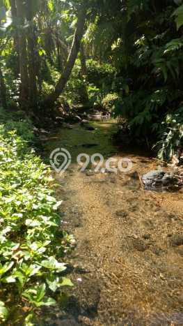 Tanah Siap Bangun Dijual di Gianyar Punya Luas 52000m2 Tanah Siap Bangun Dijual di Gianyar Punya Luas 52000m2