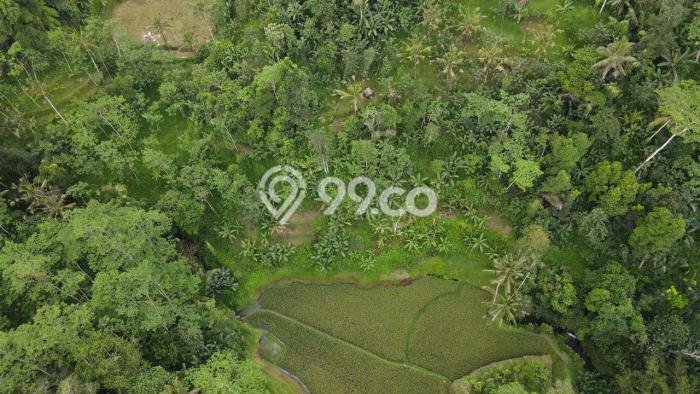 Tanah Siap Bangun Dijual di Gianyar Punya Luas 52000m2 Tanah Siap Bangun Dijual di Gianyar Punya Luas 52000m2