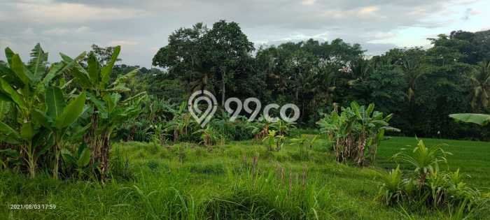 Tanah Dijual di Tabanan Seluas 2000m2 Strategis Tanah Dijual di Tabanan Seluas 2000m2 Strategis