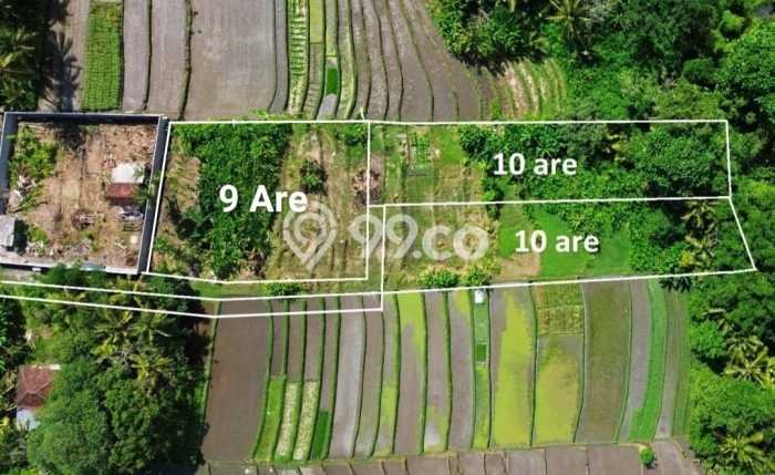 Kavling Tanah untuk Dijual di Beraban, Tabanan, Luas 900m2 Kavling Tanah untuk Dijual di Beraban, Tabanan, Luas 900m2