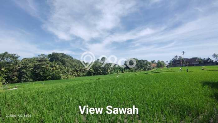 Kavling Tanah untuk Dijual di Beraban, Tabanan, Luas 900m2 Kavling Tanah untuk Dijual di Beraban, Tabanan, Luas 900m2