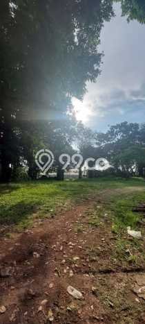 Jarang Ada! Tanah di Kuta Utara Punya Luas 8000m2 SHM Jarang Ada! Tanah di Kuta Utara Punya Luas 8000m2 SHM