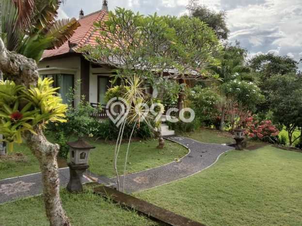 Rumah Eksklusif Dijual LT 8700m2 di Ubud, Gianyar Rumah Eksklusif Dijual LT 8700m2 di Ubud, Gianyar