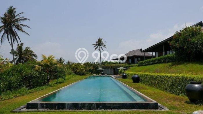 Rumah LT 3900m² Harga Terjangkau di Antap, Tabanan Rumah LT 3900m² Harga Terjangkau di Antap, Tabanan