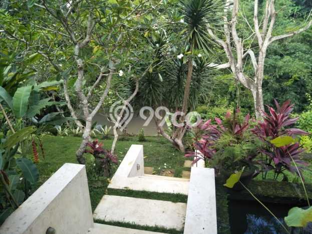 BEST OFFER! Rumah Siap Huni di Munggu, Luas 1000m² LB 500m² BEST OFFER! Rumah Siap Huni di Munggu, Luas 1000m² LB 500m²