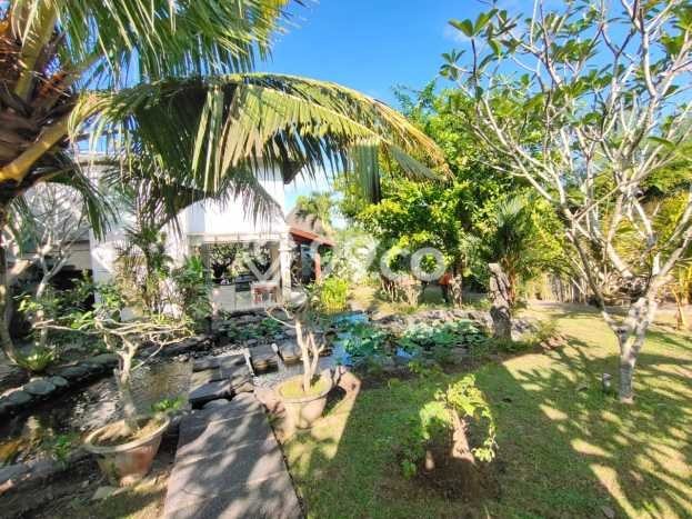 Rumah Eksklusif Siap Huni di Gianyar Fasilitas Premium Rumah Eksklusif Siap Huni di Gianyar Fasilitas Premium