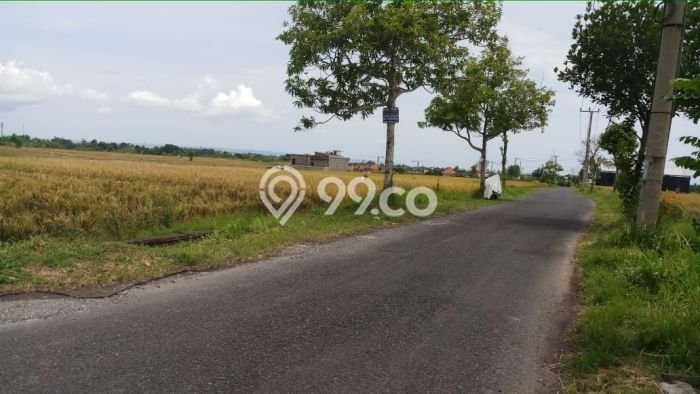 Tanah Dijual Area Strategis di Pererenan Badung 3000m2 Tanah Dijual Area Strategis di Pererenan Badung 3000m2