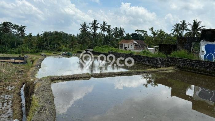 Lahan Investasi Lokasi Tegallalang Gianyar SHM Lahan Investasi Lokasi Tegallalang Gianyar SHM