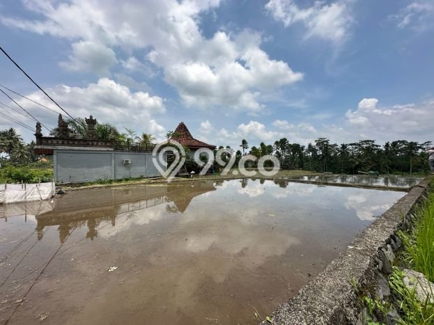 Lahan Investasi Lokasi Tegallalang Gianyar SHM Lahan Investasi Lokasi Tegallalang Gianyar SHM