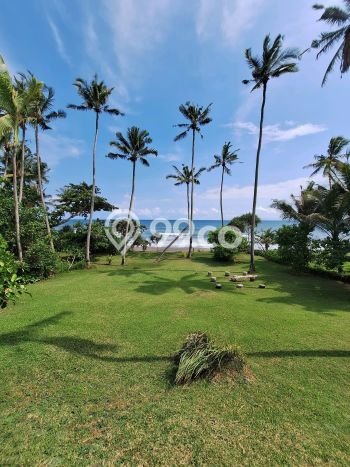 PELUANG INVESTASI! Vila Kawasan , Luas 3000m2m², ROI Menjanjikan PELUANG INVESTASI! Vila Kawasan , Luas 3000m2m², ROI Menjanjikan