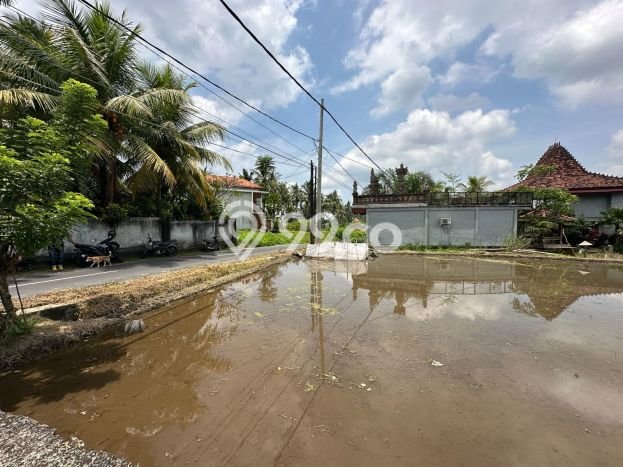 Lahan Investasi Lokasi Tegallalang Gianyar SHM Lahan Investasi Lokasi Tegallalang Gianyar SHM