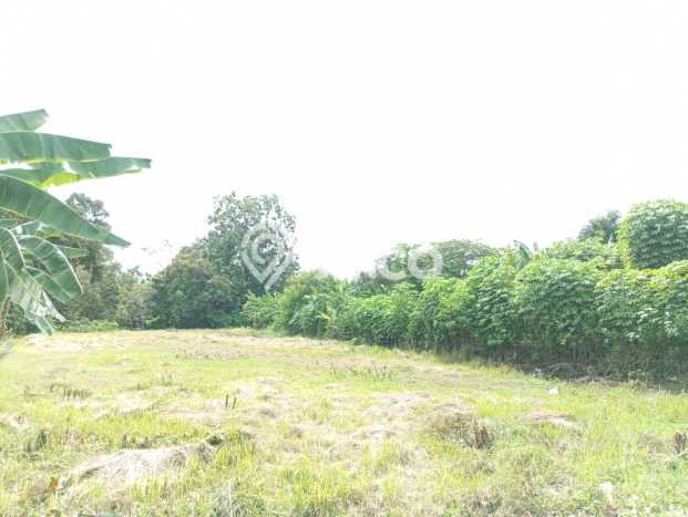 Tanah Kawasan Sleman, Luas 130m², Sertifikat Hak Milik, Akses Sleman, Yogyakarta, Yogyakarta Tanah Kawasan Sleman, Luas 130m², Sertifikat Hak Milik, Akses Sleman, Yogyakarta, Yogyakarta
