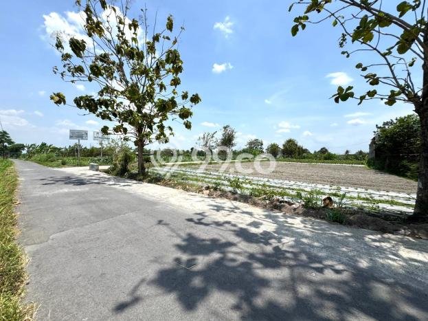 Kavling Tanah untuk Dijual di Sleman, Yogyakarta, Luas 300m2 Kavling Tanah untuk Dijual di Sleman, Yogyakarta, Luas 300m2