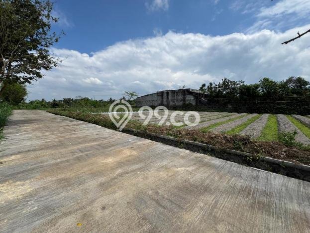Tanah Dijual Lokasi Strategis di Yogyakarta dengan Luas 260m2 Tanah Dijual Lokasi Strategis di Yogyakarta dengan Luas 260m2