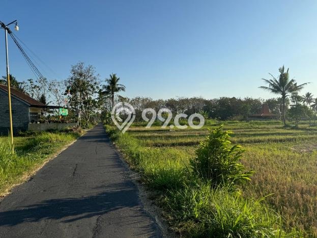 Dijual Tanah Kawasan Ngaglik, Luas 160m², Akses Ngaglik, Sleman, Sleman Dijual Tanah Kawasan Ngaglik, Luas 160m², Akses Ngaglik, Sleman, Sleman