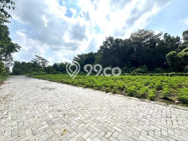 Tanah Siap Bangun Dijual di Yogyakarta Punya Luas 250m2 Tanah Siap Bangun Dijual di Yogyakarta Punya Luas 250m2