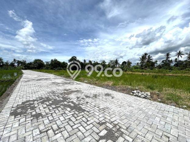 Kavling Tanah Dijual di Sleman Sleman Spesifikasi 126m2 Kavling Tanah Dijual di Sleman Sleman Spesifikasi 126m2
