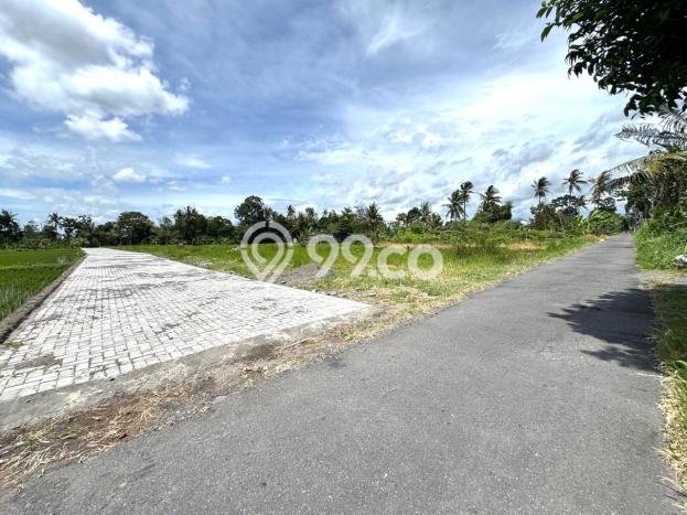 Kavling Tanah Dijual di Sleman Sleman Spesifikasi 126m2 Kavling Tanah Dijual di Sleman Sleman Spesifikasi 126m2