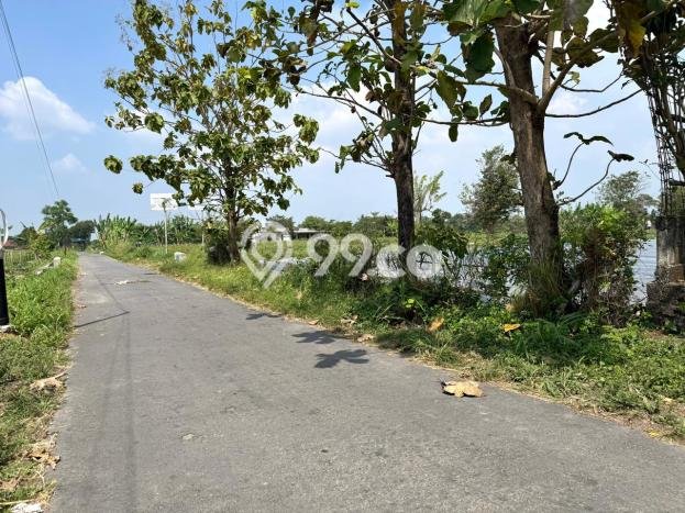 Lahan Dijual Lokasi Sleman, Sleman dengan Luas Tanah 295m2 dan Status SHM Lahan Dijual Lokasi Sleman, Sleman dengan Luas Tanah 295m2 dan Status SHM