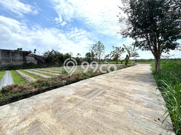 Tanah Dijual Lokasi Depok, Sleman dengan Luas Tanah 300m2 dan Status SHM Tanah Dijual Lokasi Depok, Sleman dengan Luas Tanah 300m2 dan Status SHM