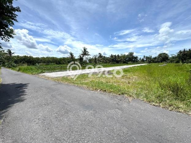 Kavling Tanah Dijual di Sleman Sleman Spesifikasi 126m2 Kavling Tanah Dijual di Sleman Sleman Spesifikasi 126m2