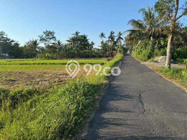 Dijual Tanah Kawasan Ngaglik, Luas 160m², Akses Ngaglik, Sleman, Sleman Dijual Tanah Kawasan Ngaglik, Luas 160m², Akses Ngaglik, Sleman, Sleman