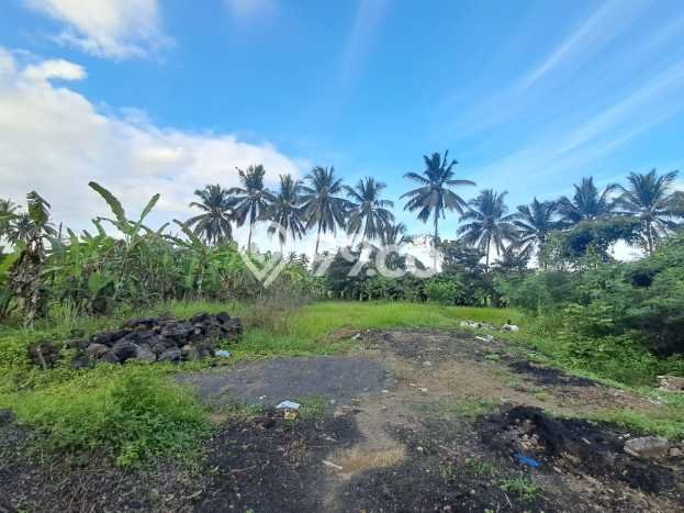 Untuk Disewa Tanah di Sembung Badung Seluas 1500m2 Untuk Disewa Tanah di Sembung Badung Seluas 1500m2