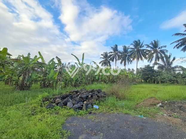 Untuk Disewa Tanah di Sembung Badung Seluas 1500m2 Untuk Disewa Tanah di Sembung Badung Seluas 1500m2