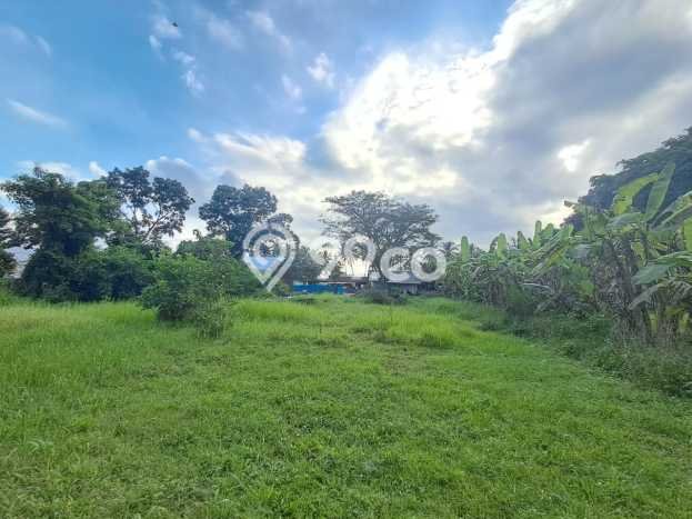 Untuk Disewa Tanah di Sembung Badung Seluas 1500m2 Untuk Disewa Tanah di Sembung Badung Seluas 1500m2