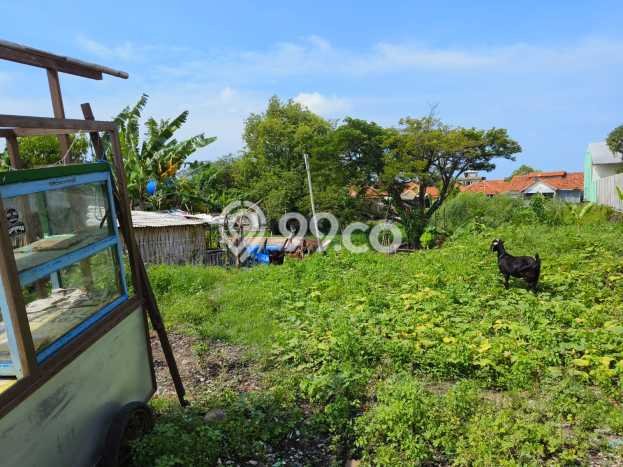 Lahan Strategis di Mundu Dijual dengan Luas 3446m2 Lahan Strategis di Mundu Dijual dengan Luas 3446m2