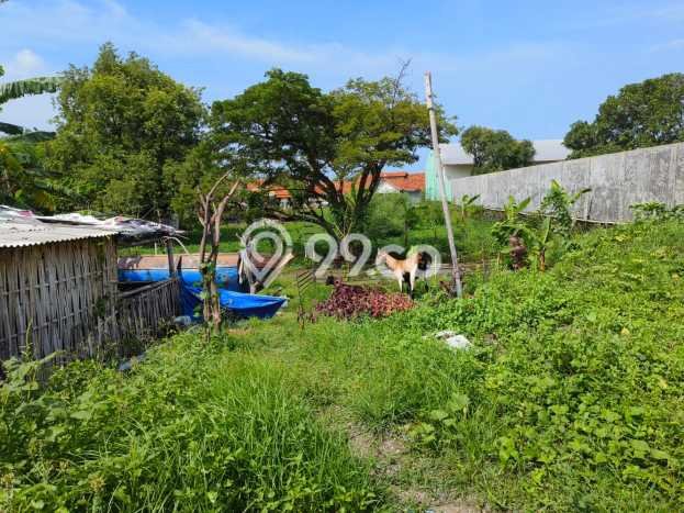 Lahan Strategis di Mundu Dijual dengan Luas 3446m2 Lahan Strategis di Mundu Dijual dengan Luas 3446m2