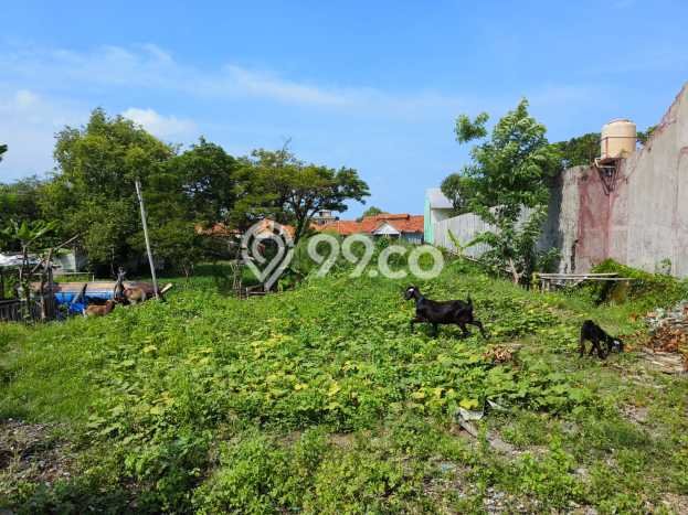 Lahan Strategis di Mundu Dijual dengan Luas 3446m2 Lahan Strategis di Mundu Dijual dengan Luas 3446m2