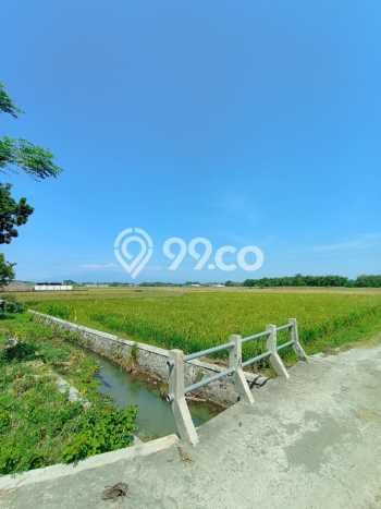 Jarang Ada! Tanah di Sukomoro Punya Luas 1031m2 SHM Jarang Ada! Tanah di Sukomoro Punya Luas 1031m2 SHM