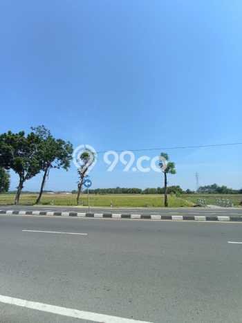 Jarang Ada! Tanah di Sukomoro Punya Luas 1031m2 SHM Jarang Ada! Tanah di Sukomoro Punya Luas 1031m2 SHM