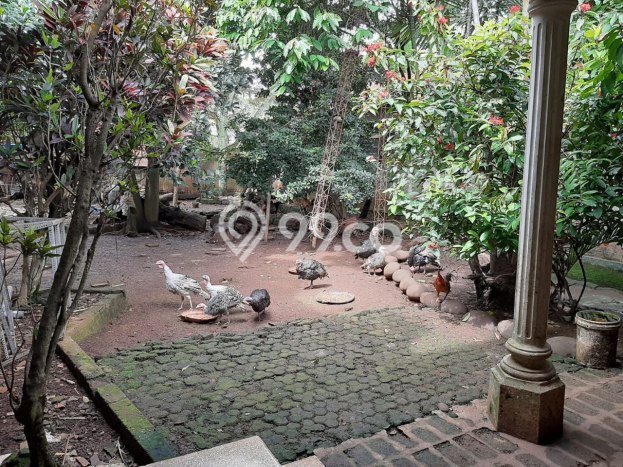 Hunian Eksklusif Dijual LT 1367m2 di Cipaganti, Bandung Hunian Eksklusif Dijual LT 1367m2 di Cipaganti, Bandung