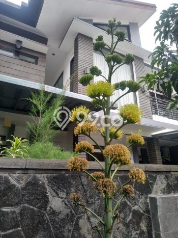 Rumah Minimalis 3 KT di Buah Batu Bandung Full Furnished Rumah Minimalis 3 KT di Buah Batu Bandung Full Furnished