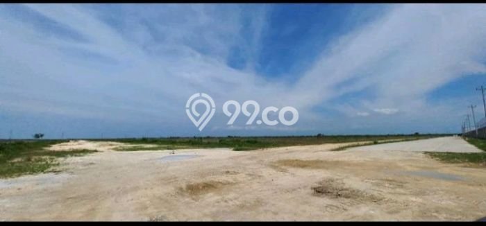 Kavling Tanah Dijual di Demak Demak Spesifikasi 3e+06m2 Kavling Tanah Dijual di Demak Demak Spesifikasi 3e+06m2