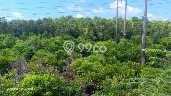 Gudang Bagus Dijual di Jimbaran Badung Lokasi Strategis Cocok untuk Kembangkan Bisnis Gudang Bagus Dijual di Jimbaran Badung Lokasi Strategis Cocok untuk Kembangkan Bisnis